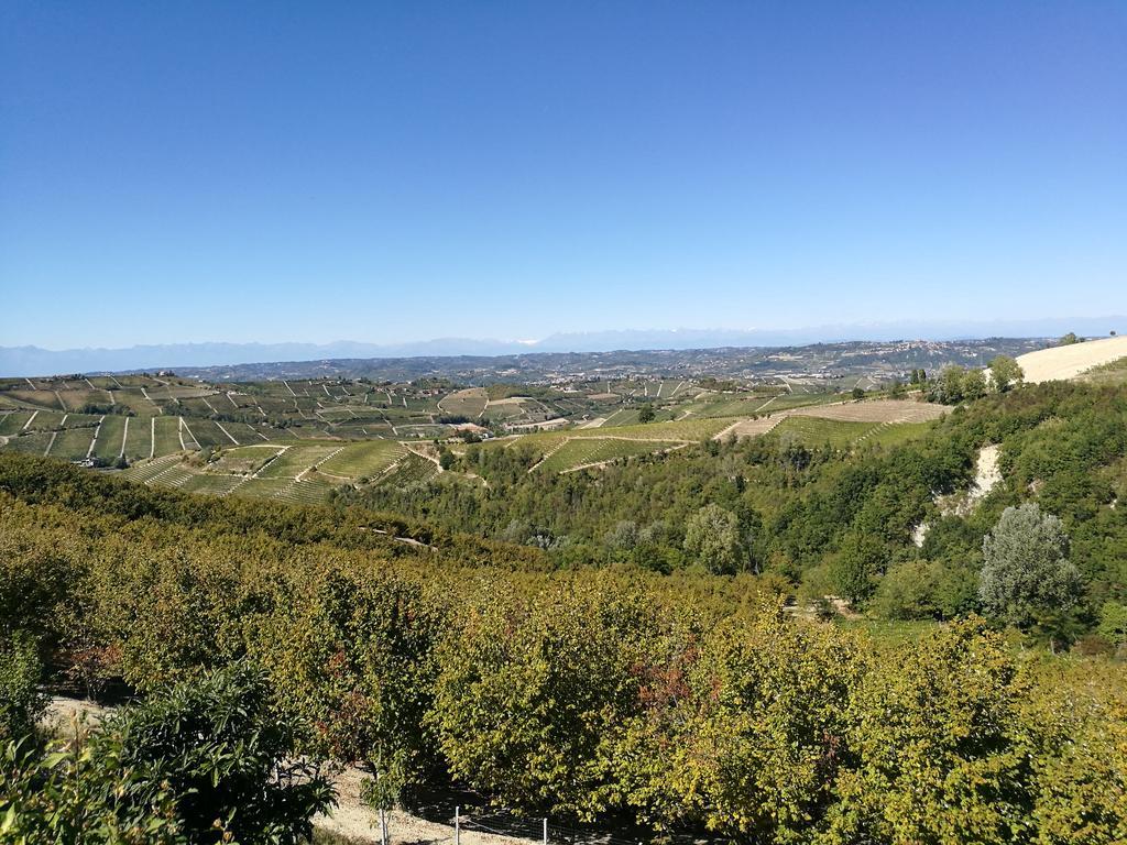Appartamento Casa Vigin Treiso Esterno foto